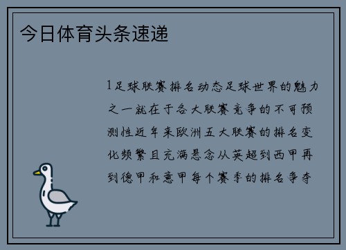 今日体育头条速递